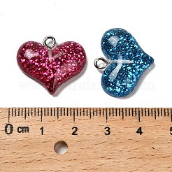 Transparent Resin Pendants&nbsp;RESI-I065-02