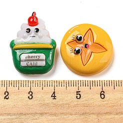 Opaque Resin Decoden Cabochons&nbsp;RESI-C046-04