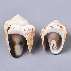 Natural Spiral Shell Beads&nbsp;SSHEL-S258-82