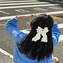 4Pcs 2 Colors Cloth Long Bowknot Hair Barrettes&nbsp;OHAR-LP0001-29A