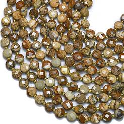 Natural Picture Jasper Beads Strands&nbsp;G-K389-B25-01
