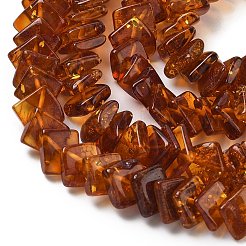 Natural Amber Beads Strands&nbsp;G-K376-C01-01