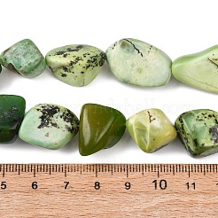 Natural Serpentine Beads Strands&nbsp;G-D098-C06