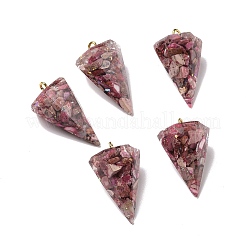 Transparent Resin Natural Imperial Jasper Chips Pendants&nbsp;G-E185-06G
