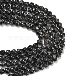 Natural Larvikite Beads Strands&nbsp;G-C280-B06-12mm