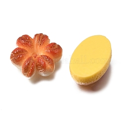 Cute Opaque Resin Imitation Food Cabochons&nbsp;RESI-Z055-01