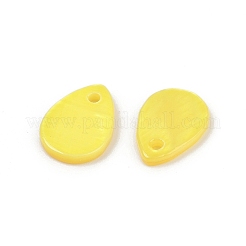 Spray Painted Natural Freshwater Shell Teardrop Charms&nbsp;LS-SHEL-K006-47C