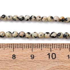 Natural Dalmatian Jasper Beads Strands&nbsp;G-Z116-A10-3mm