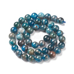 Natural Apatite Beads&nbsp;X-G-E481-05-8mm-01