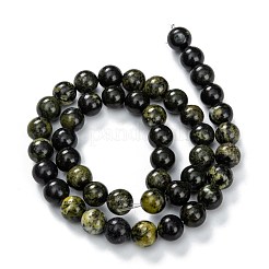 Natural Serpentine Beads Strands&nbsp;G-F709-01