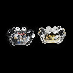 Luminous Transparent Acrylic Pendants&nbsp;TACR-F006-02