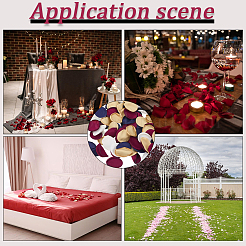200Pcs Polyester Artificial Rose Flower Petals&nbsp;DIY-GF0011-12D