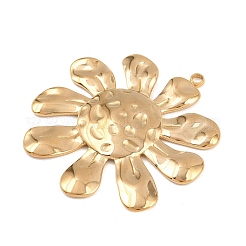 304 Stainless Steel Pendants&nbsp;STAS-H249-06G