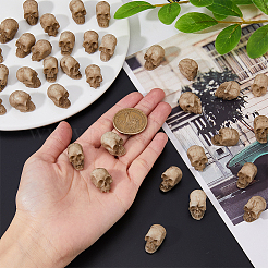 Halloween Theme Resin Skull Display Decoration&nbsp;RESI-WH0029-57