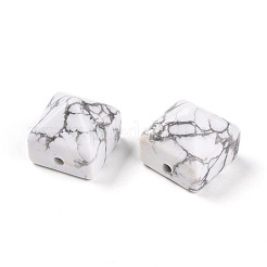 Natural Howlite Beads&nbsp;G-N345-02A-09