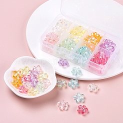 Transparent Acrylic Beads&nbsp;TACR-YW0001-47