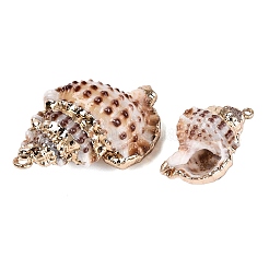 Electroplate Natural Spiral Shell Pendants&nbsp;SSHEL-Q100-40G