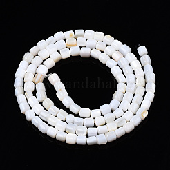 Natural Freshwater Shell Beads Strands&nbsp;SHEL-N034-29B-01
