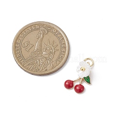 Alloy Enamel Charms&nbsp;PALLOY-JF04430