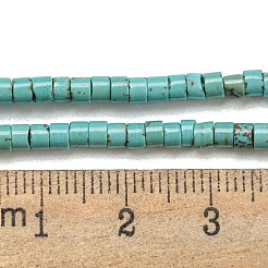 Natural Turquoise Beads Strands&nbsp;G-C084-D10-02