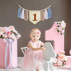 Bohemian Cotton Braided Tassel Banners&nbsp;AJEW-WH0752-049A