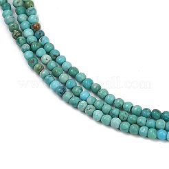 Natural HuBei Turquoise Beads Strands&nbsp;G-C181-A01-01
