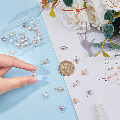 Natural Cultured Freshwater Pearl Connector Charms&nbsp;PALLOY-FH00005