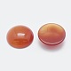 Natural Carnelian Cabochons&nbsp;G-G760-B01-03-2