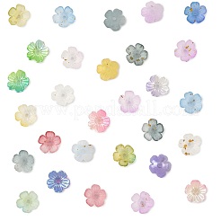 480Pcs 12 Colors Acrylic Bead Caps&nbsp;OACR-FS0002-24