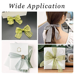 10 Yards 2 Colors Polyester Wrinkle Ribbon&nbsp;OCOR-TA0001-95