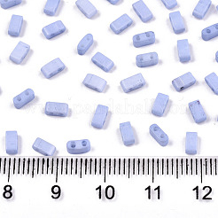 FGB 2-Hole Baking Paint Glass Seed Beads&nbsp;SEED-S031-M-SH494FR
