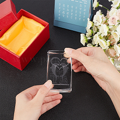 Transparent Glass Display Decorations&nbsp;DJEW-WH0010-41