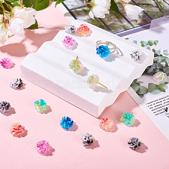 60Pcs 6 Colors Resin Cabochons&nbsp;MRMJ-TA0001-42