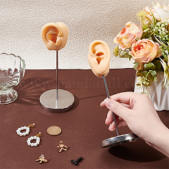 2Pcs 2 Styles Silicone Ear Model Shaped Earring Display Stands with Metal Support&nbsp;DIY-UN0007-53
