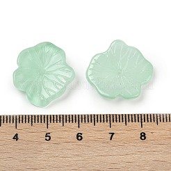 Transparent Glass Beads&nbsp;DGLA-E004-02G