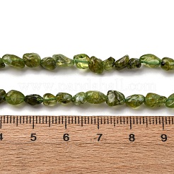 Natural Peridot Beads Strands&nbsp;X-G-I389-A27