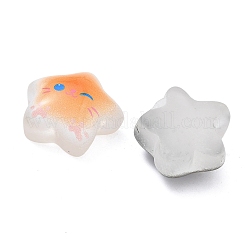 Luminous Transparent Resin Cabochons&nbsp;CRES-A062-01