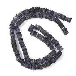 Natural Iolite Beads Strands&nbsp;GG-CBA1D78-A03