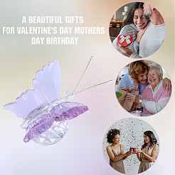 1Pc Glass Crytsal Butterfly Display Decorations&nbsp;LAMP-CN0001-01A