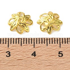 Brass Bead Caps&nbsp;KK-C260-01G