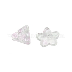 Gradient Color Transparent Glass Beads&nbsp;GLAA-B026-01G