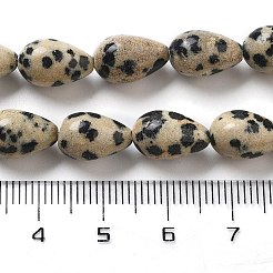 Natural Dalmatian Jasper Beads Strands&nbsp;G-B106-A29-02