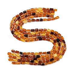 Gradient Color Natural Amber Beads Strands&nbsp;G-F803-D01-04