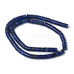 Natural Lapis Lazuli Bead Strands&nbsp;G-Z006-C13