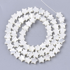 Natural Trochid Shell/Trochus Shell Beads Strands&nbsp;X-SHEL-T013-007A-01