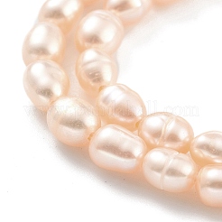 Natural Cultured Freshwater Pearl Beads Strands&nbsp;PEAR-P062-05A