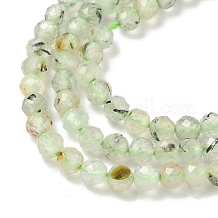 Natural Prehnite Beads Strands&nbsp;G-S300-12-3mm-01
