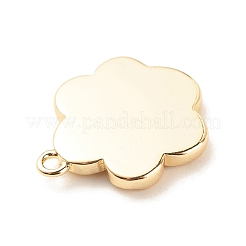 Brass Pendants&nbsp;LS-KK-G412-01LG