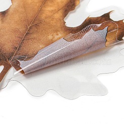 Waterproof PET Stickers Set&nbsp;DIY-Z030-01C
