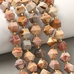 Natural Africa Agate Beads Strands&nbsp;G-I376-A01-01